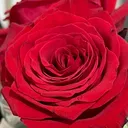 @ch4parritavatallosa