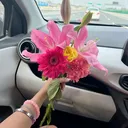 @ms_kcy