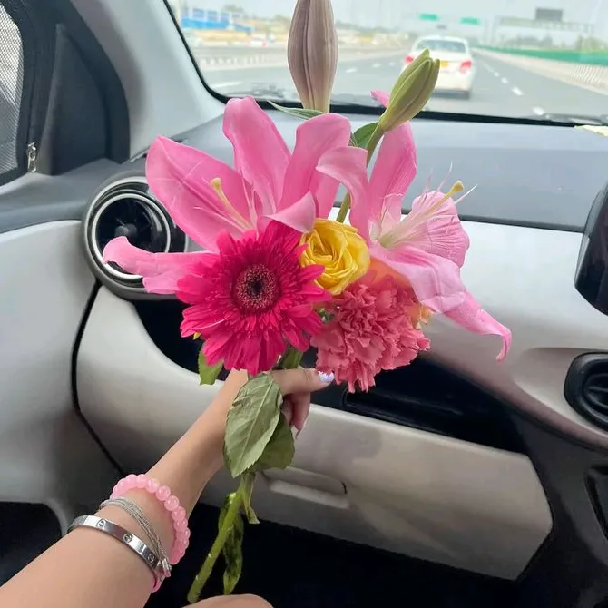 ms_kcy