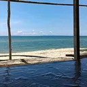 @farahieda1