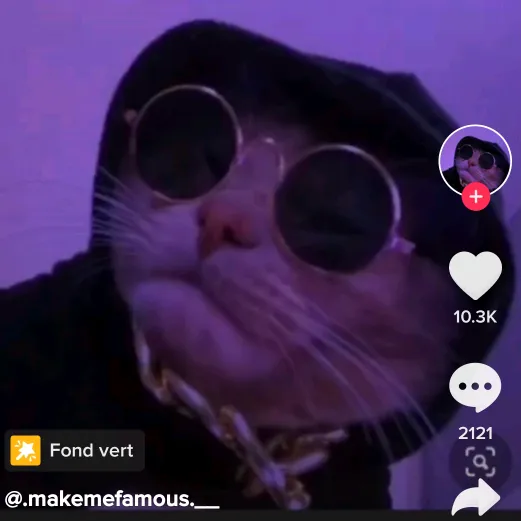 jujurouillard