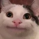 @wwaaaaasup