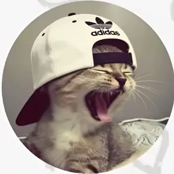 wh1ye1