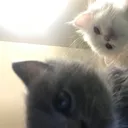 @___hellokitty222