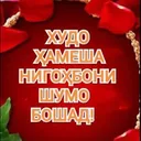 @gulchekhra234