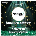 @yurtsev38_hommbitkisel