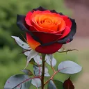 @ajaypashwan10