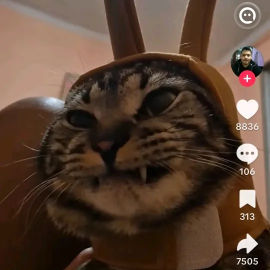 gonzalopalacios43