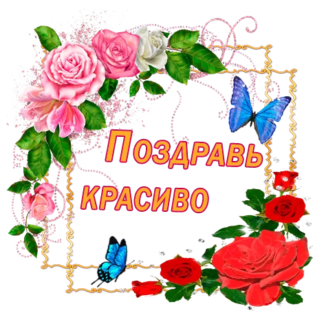 pozdrav_krasivo