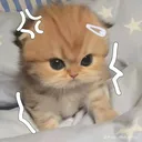 @waiwai6408