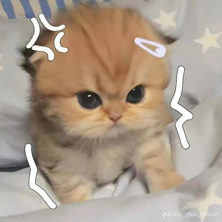 @waiwai6408
