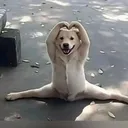 @its_me_prajapati28