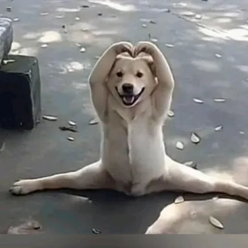 @its_me_prajapati28