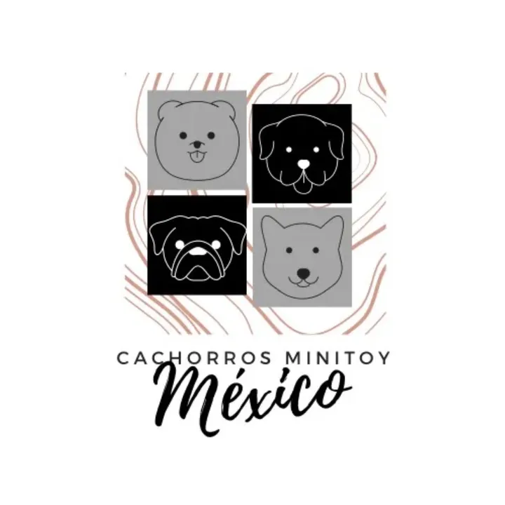 @cachorrosminidgom