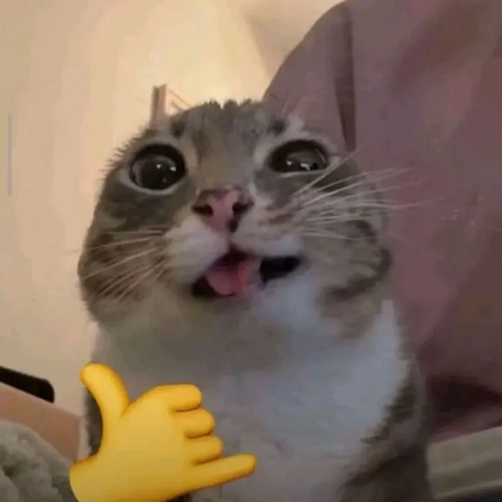 @lorenzzetti4
