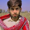khansherapunjabg