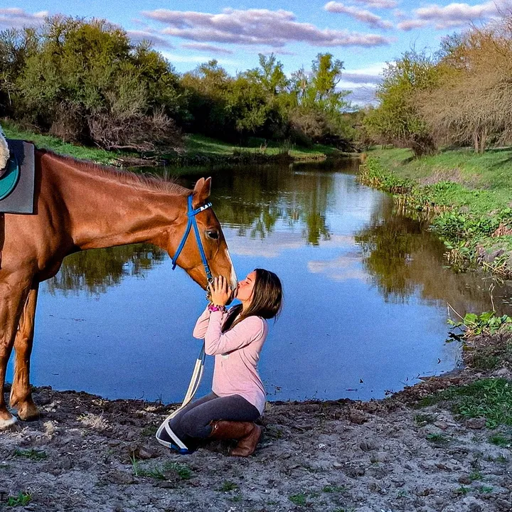 alfoequestrian