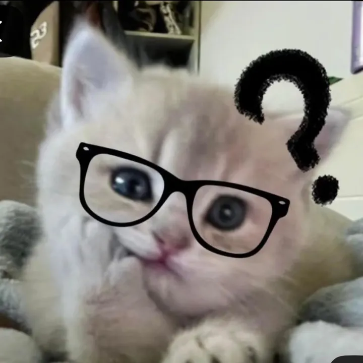 qltszk