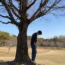 @dream8.0