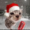santi_0499