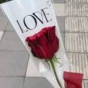 @99a193