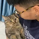 @anh_nef_