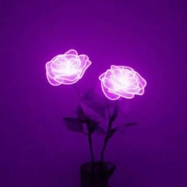 @mamlove360