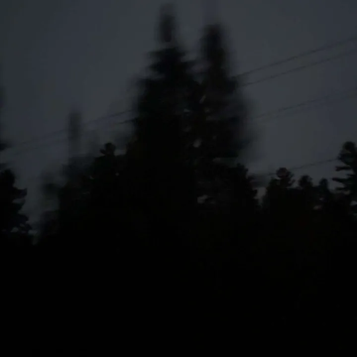 @st0p.stalking.m3_