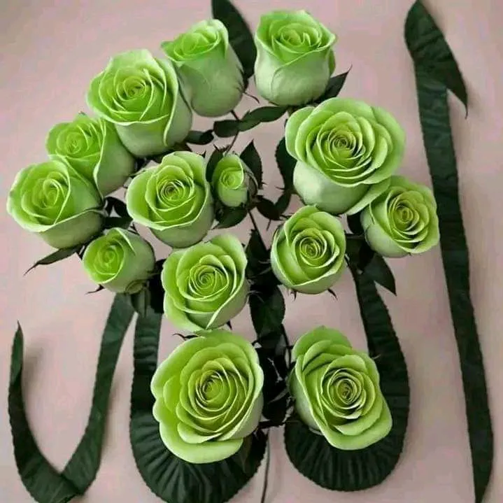 @siyemahmed803
