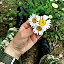 @tarix__yazanlar