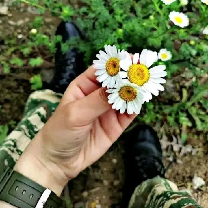 tarix__yazanlar