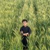 hassanalinew403