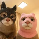 @_shibncan