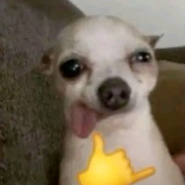 @xeniu2