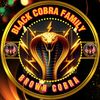 brown_cobra08