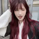 @wixvarss