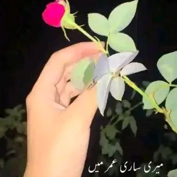 @sghouh1