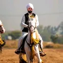 @malikjaveed135
