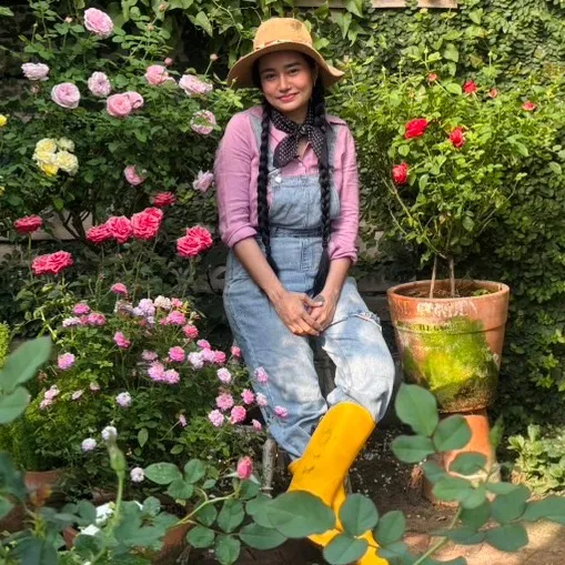 ubongarden_faii