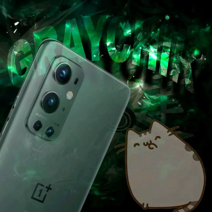 graychik_tech
