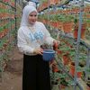 fatihahabdullah92
