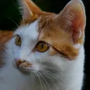 @uhab.com
