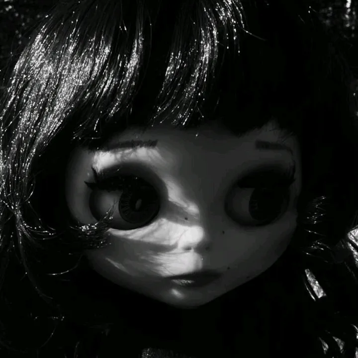 @wndow.s