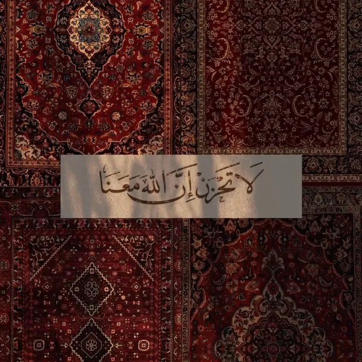 all.qamarr