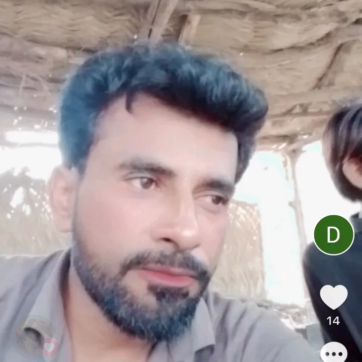 dil.bar4053