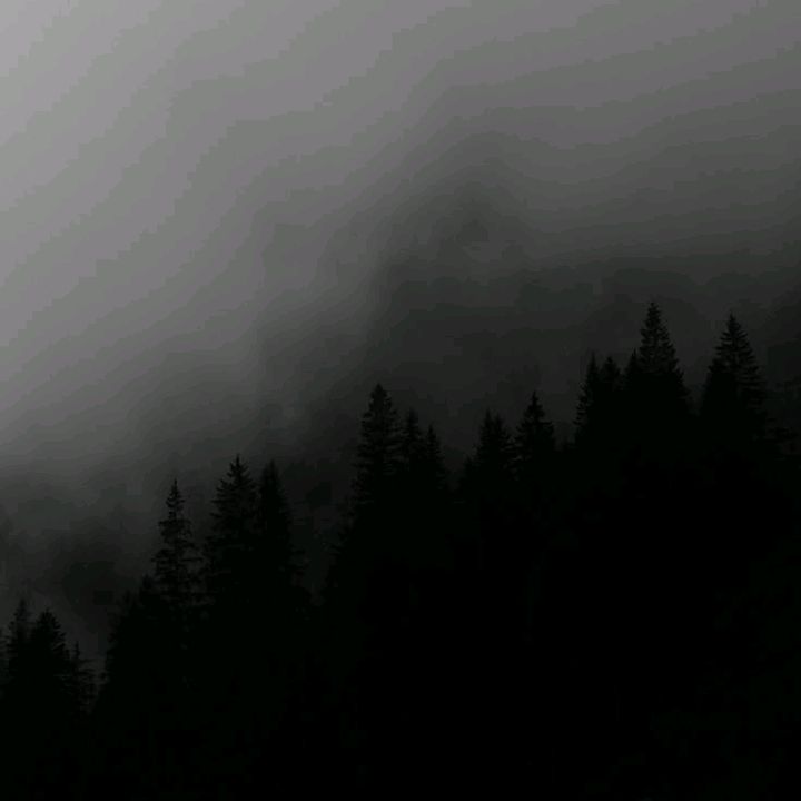 ♪♫ 𝒴𝒶𝒽𝓎𝒶 ♫♪ - original sound