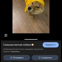 @genius_21.228