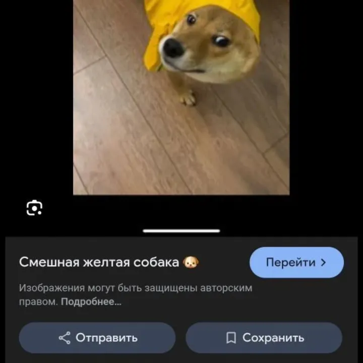 genius_21.228