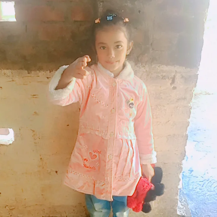 @zahidjutt3077