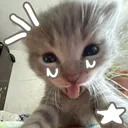 @amoalidiaa